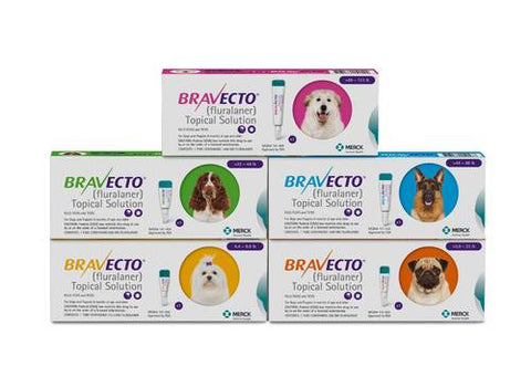 Topical Bravecto for Dogs (1 tube = 3 months protection)