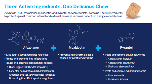 NexGard PLUS (Heartworm, Flea & Tick Prevention for dogs)