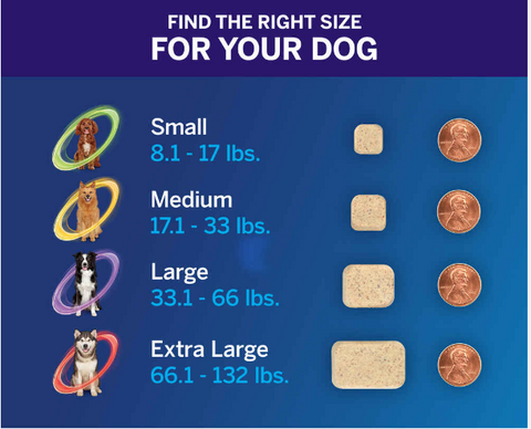 NexGard PLUS (Heartworm, Flea & Tick Prevention for dogs)