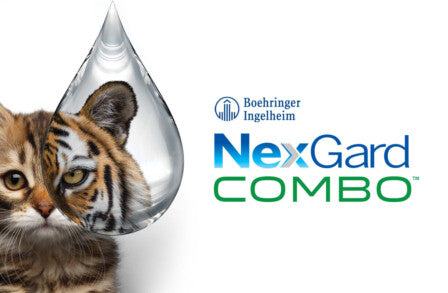 NexGard COMBO Cat Topical