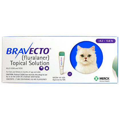 Bravecto for Cats