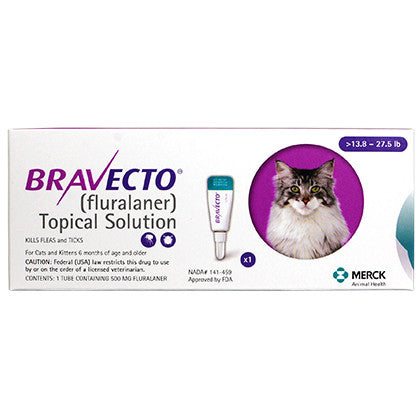 Bravecto for Cats