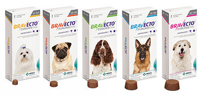 Bravecto Flea/Tick Chewable for Dogs (1 chew = 3 months protection)