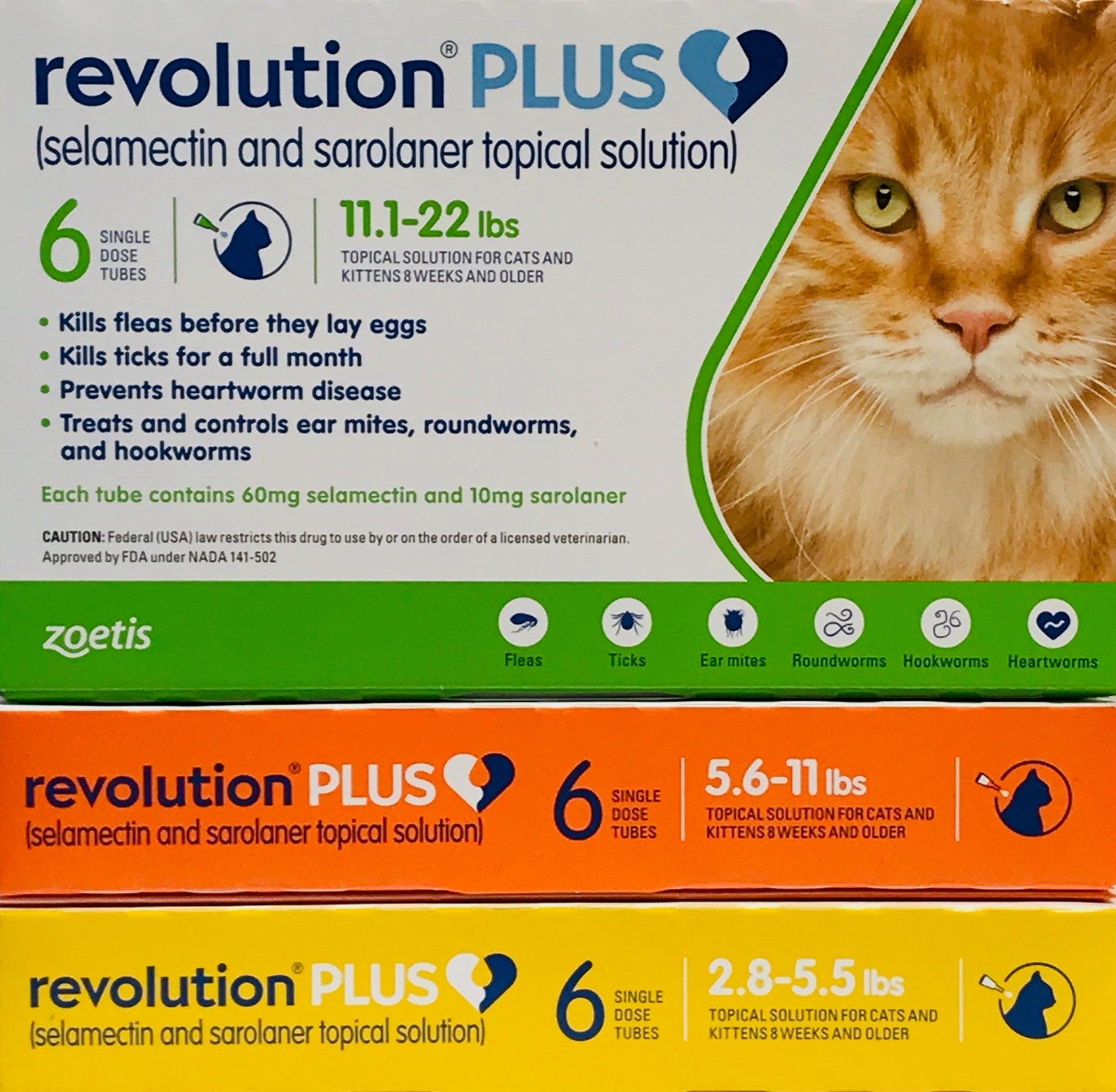 Revolution Plus (Cat) Penny Paws